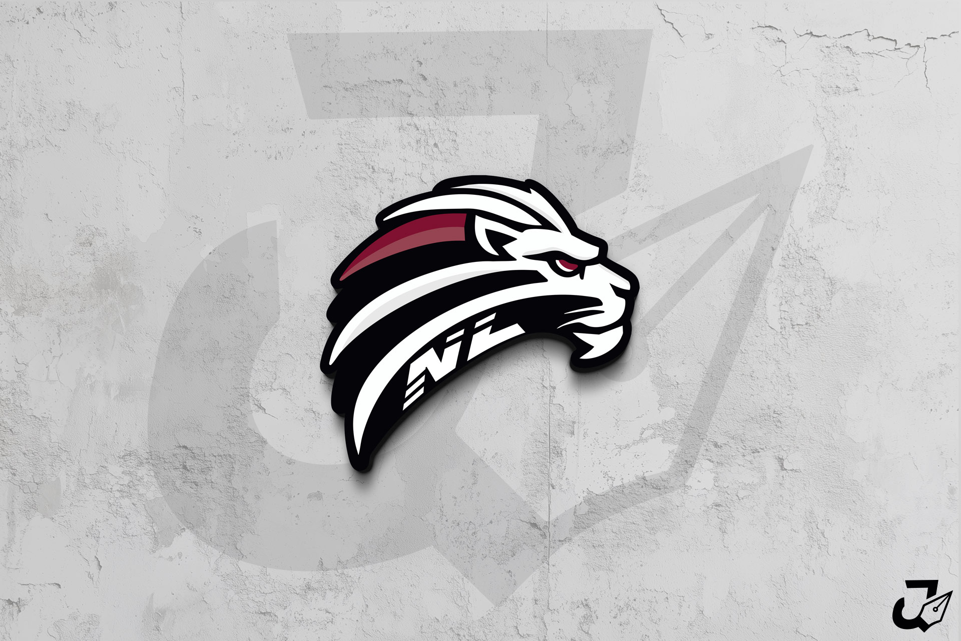 Newtown <br> Lions